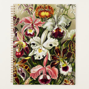Orchids, Orchideae Denusblumen Ernst Haeckel Planner