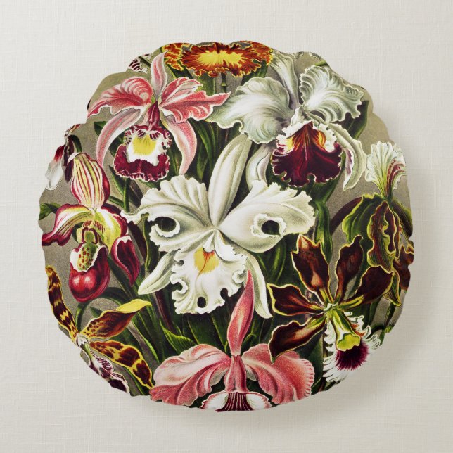 Orchids, Orchideae Denusblumen Ernst Haeckel  Round Cushion (Front)