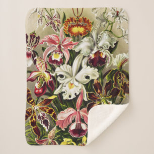 Orchids, Orchideae Denusblumen Ernst Haeckel Sherpa Blanket