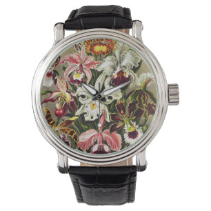 Orchids, Orchideae Denusblumen Ernst Haeckel Watch