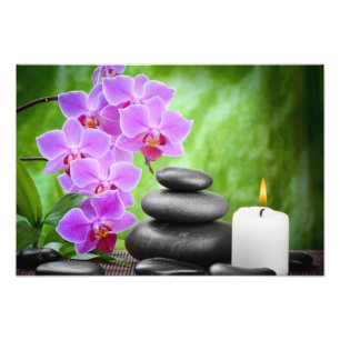 Orchids Photo Print