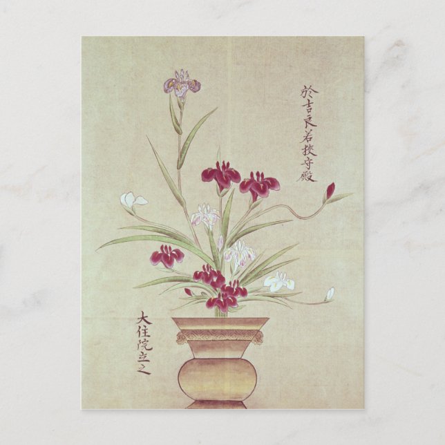 Orchids Postcard (Front)