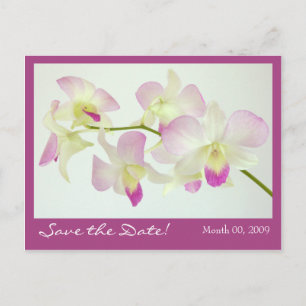 Orchids Postcard, Save the Date! Announcement Postcard