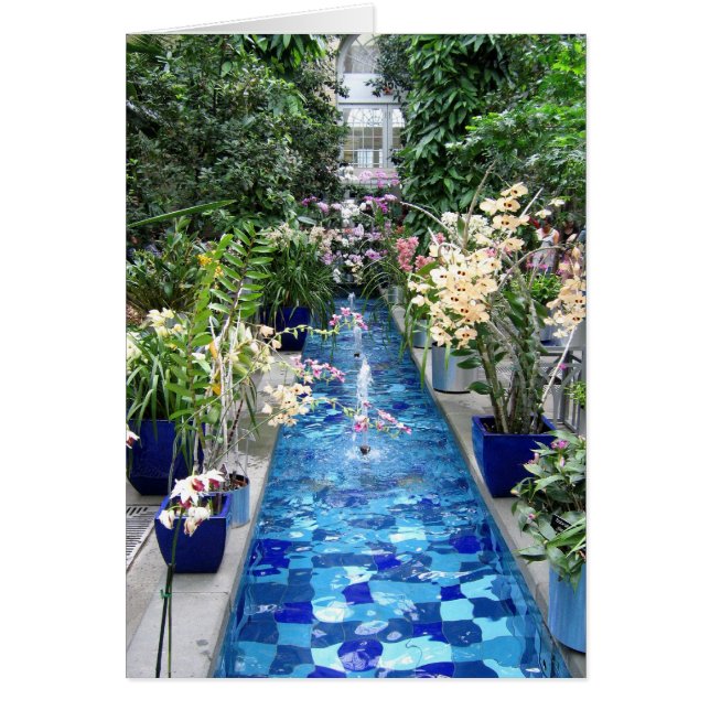 Orchids show (Front)