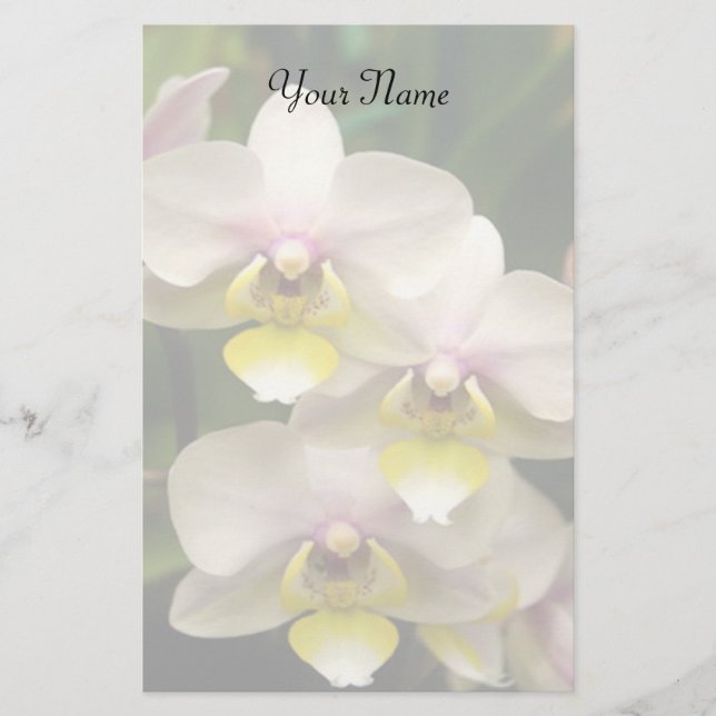 Orchids stationary stationery (Front)