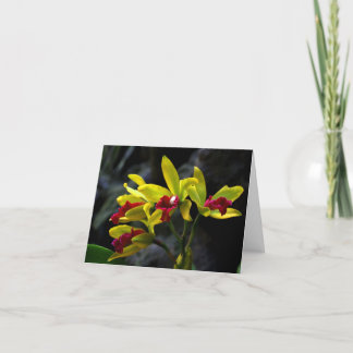orchids thank you card