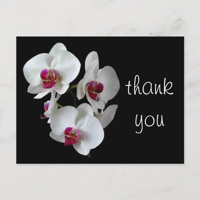 orchids: thank you! postcard (Front)