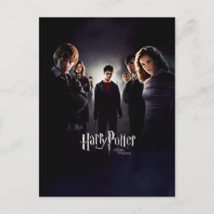 Order of the Phoenix - French 1 Postcard