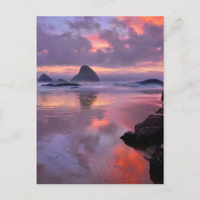 Oregon beach and sea stacks, sunset postcard (Front)