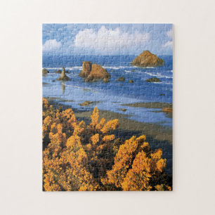 Oregon Beach View In Bandon Jigsaw Puzzle