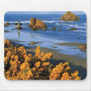 Oregon Beach View In Bandon Mouse Mat