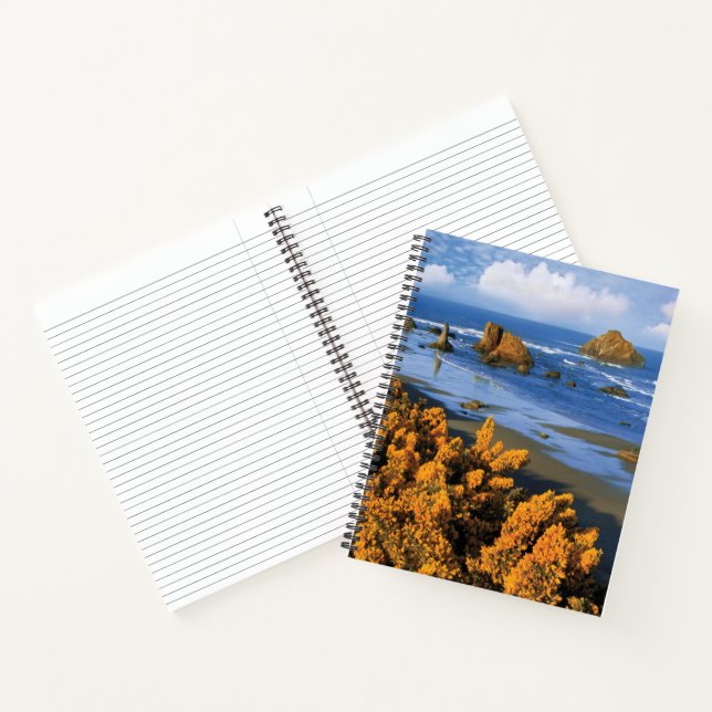 Oregon Beach View In Bandon Notebook (Inside)