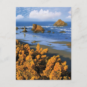 Oregon Beach View In Bandon Postcard