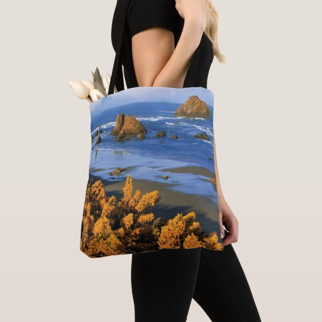 Oregon Beach View In Bandon Tote Bag (Close Up)