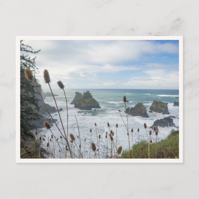 Oregon Coast Arch Rock State Park Brookings Beach Postcard (Front)