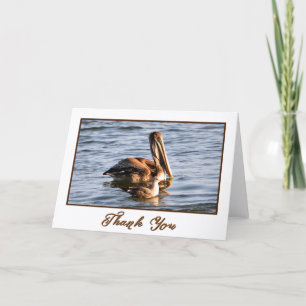 Oregon Coast Brown Pelican Photo Thank You Card