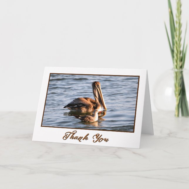 Oregon Coast Brown Pelican Photo Thank You Card (Front)