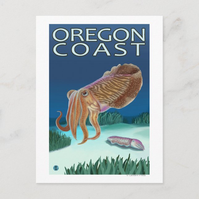 Oregon Coast Cuttlefish Postcard (Front)