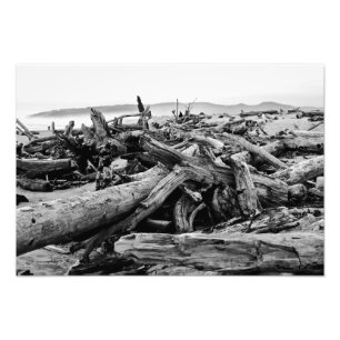 Oregon Coast Driftwood Black and White Print