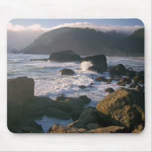 Oregon coast mouse mat