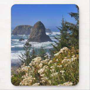 Oregon Coast Mouse Mat