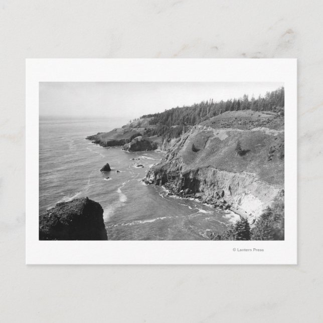 Oregon Coast North from Look Out Cape Fowlweathe Postcard (Front)