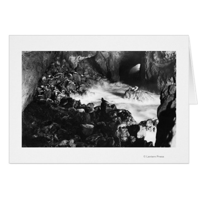 Oregon Coast Sea Lion Caves Interior View (Front Horizontal)