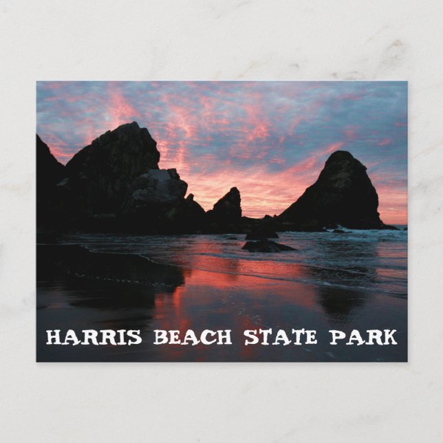 Oregon Coast Sunrise Harris Beach State Park Postcard (Front)