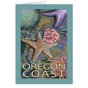 Oregon Coast Tidepool