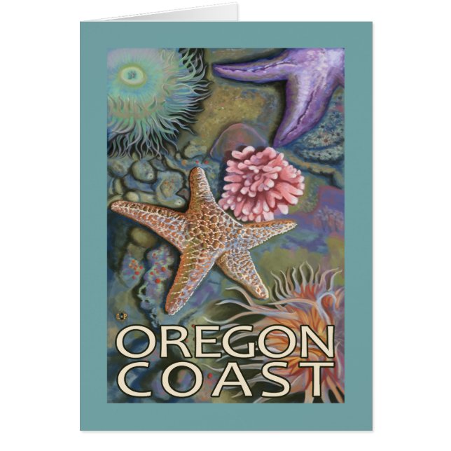 Oregon Coast Tidepool (Front)
