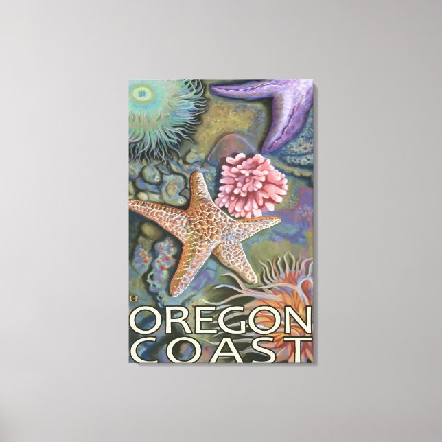 Oregon Coast Tidepool Canvas Print (Front)