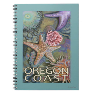 Oregon Coast Tidepool Notebook