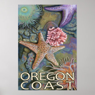 Oregon Coast Tidepool Poster