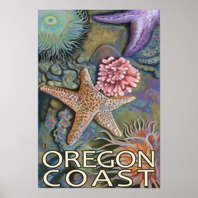 Oregon Coast Tidepool Poster (Front)