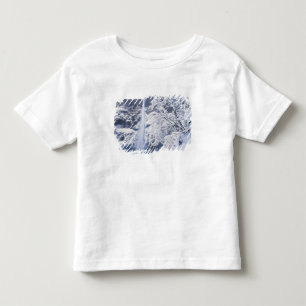 Oregon, Columbia Gorge National Scenics Area, Toddler T-Shirt