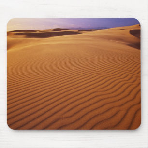 Oregon Dunes National Recreation Area, Oregon at Mouse Mat
