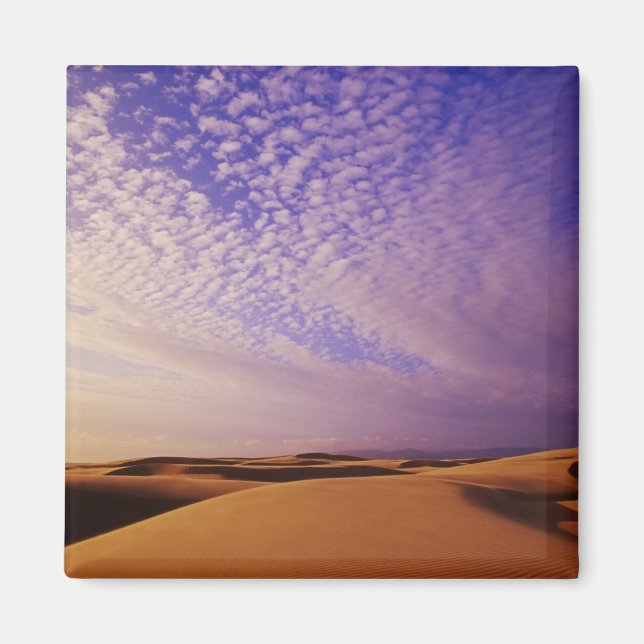 Oregon Dunes National Recreation Area, Oregon Magnet (Front)