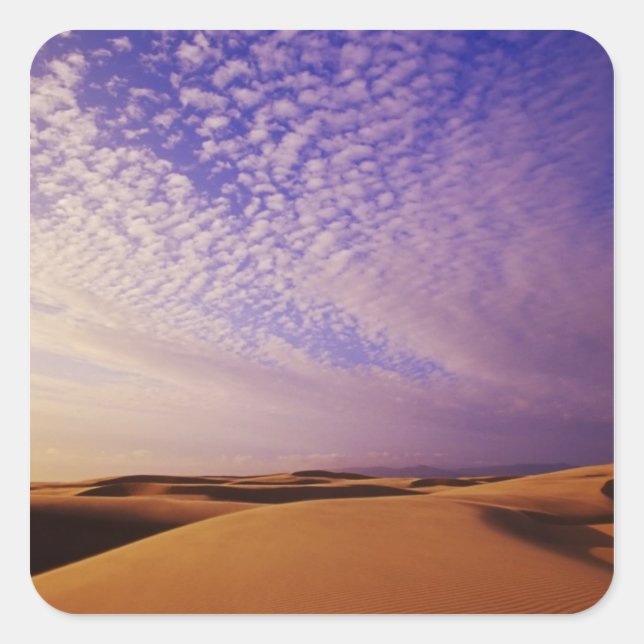 Oregon Dunes National Recreation Area, Oregon Square Sticker (Front)