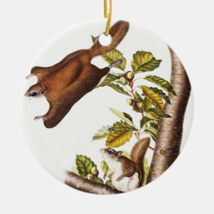 Oregon Flying Squirrel (Pteromys Origonensis)  Ceramic Tree Decoration