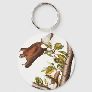Oregon Flying Squirrel (Pteromys Origonensis)  Key Ring