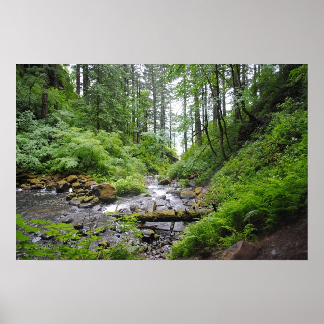 Oregon forest poster (Front)