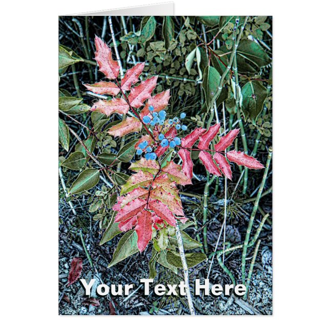 Oregon Grape (Front)