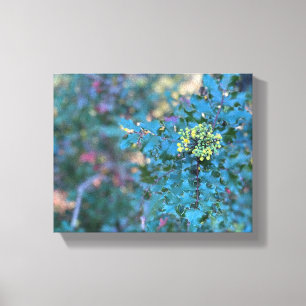 Oregon Grape Canvas Print