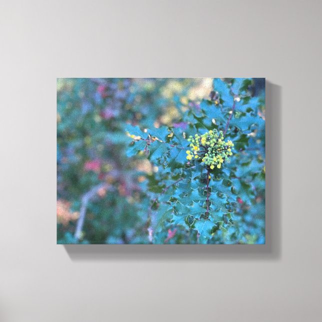 Oregon Grape  Canvas Print (Front)