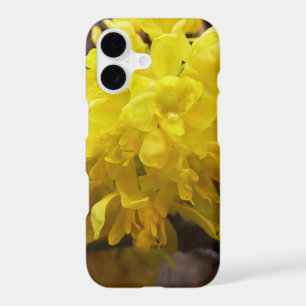 Oregon Grape Flowers Yellow Wildflowers