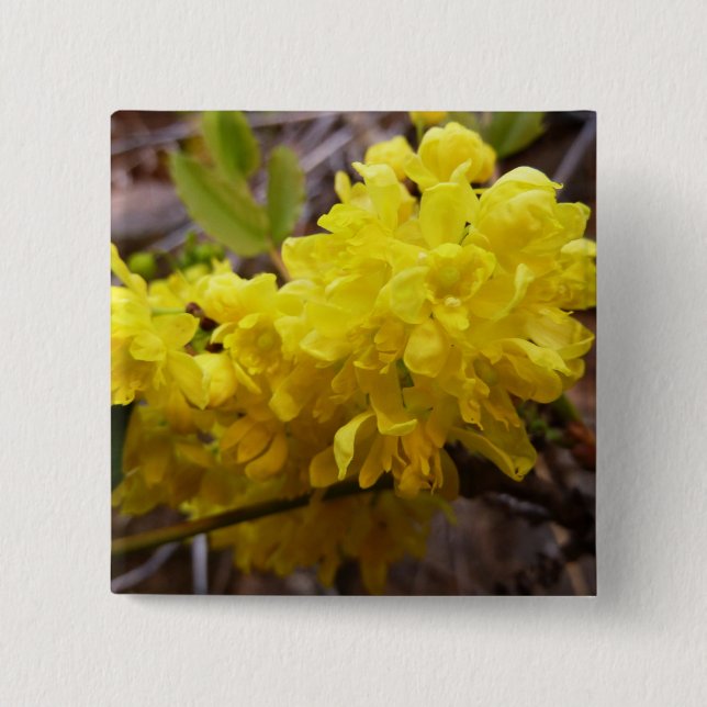 Oregon Grape Flowers Yellow Wildflowers 15 Cm Square Badge (Front)