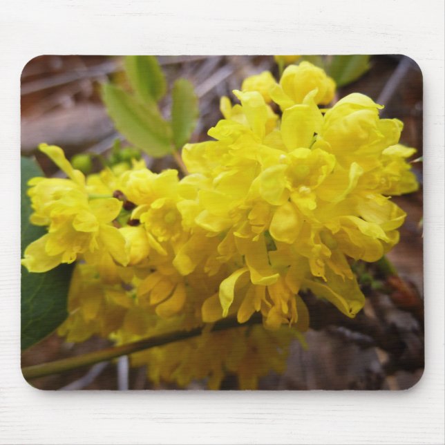 Oregon Grape Flowers Yellow Wildflowers Mouse Mat (Front)