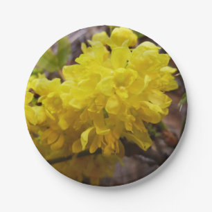 Oregon Grape Flowers Yellow Wildflowers Paper Plate