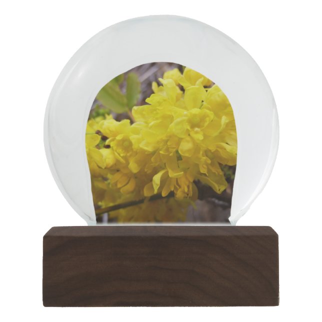 Oregon Grape Flowers Yellow Wildflowers Snow Globe (Front)