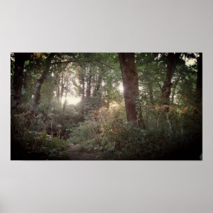 Oregon Magic - Poster